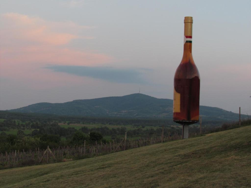 Torkolat Panzio Bed & Breakfast Tokaj Exterior photo